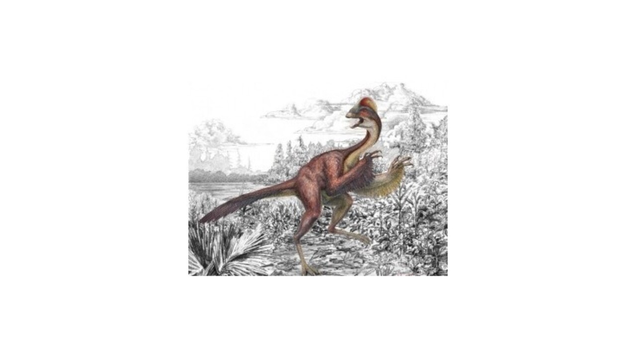 Paleontológovia popísali nový druh dinosaura