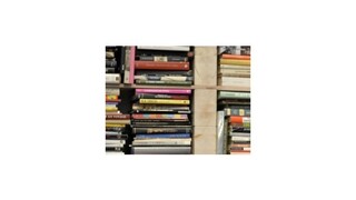 Zomrela Sue Townsendová, autorka románovej série o Adrianovi Moleovi