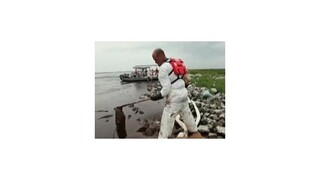 Havária plošiny Deepwater Horizont zanechala hlboké jazvy