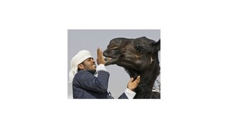 Saudskú Arábiu vystrašil nárast smrteľných obetí vírusu MERS