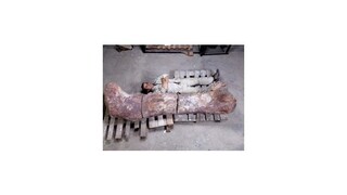 Objavili fosílie pravdepodobne najväčšieho dinosaura