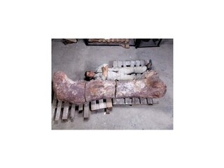 Objavili fosílie pravdepodobne najväčšieho dinosaura