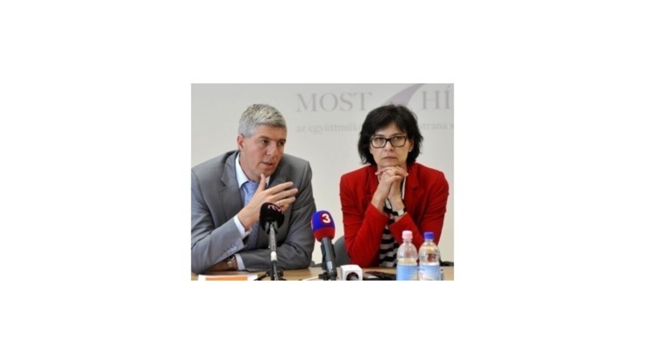 Republiková rada zvolila Luciu Žitňanskú za podpredsedníčku strany