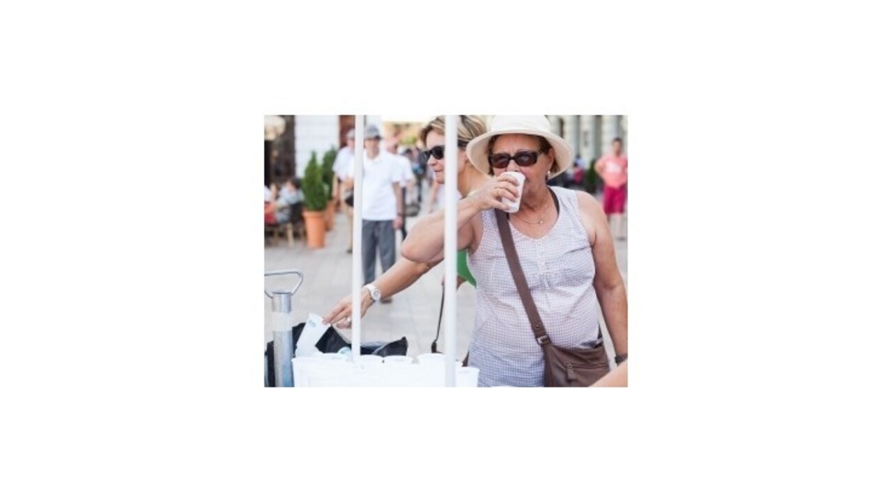 Bratislava plánuje počas tropických dní pomôcť s cisternou