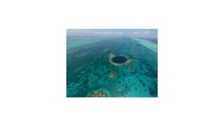 Koralové útesy v Karibiku miznú, dusí ich sliz