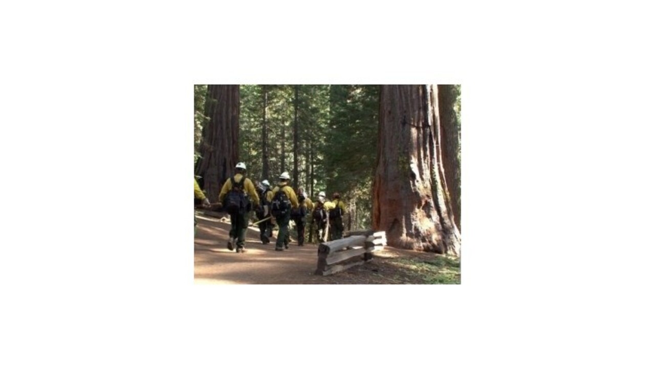 Požiar v Yosemitskom národnom parku ohrozuje gigantické sekvoje