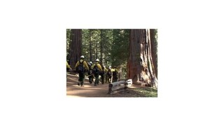 Požiar v Yosemitskom národnom parku ohrozuje gigantické sekvoje