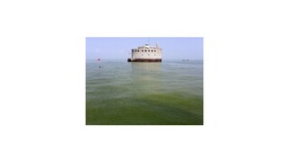 V Ohiu je bez vody 400.000 ľudí, zdroj je kontaminovaný jedom z rias