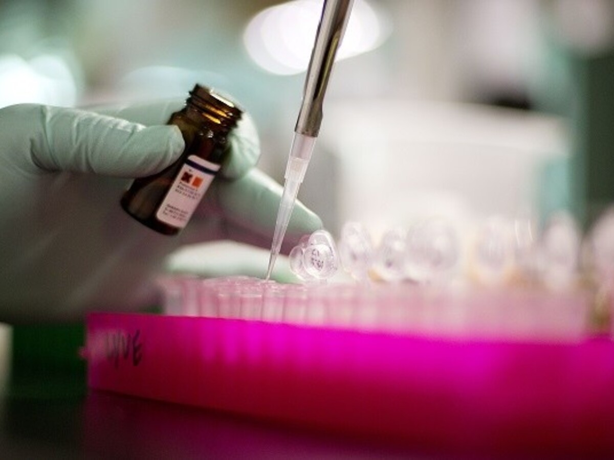 laboratórium veda skúmavka (SITA/AP)
