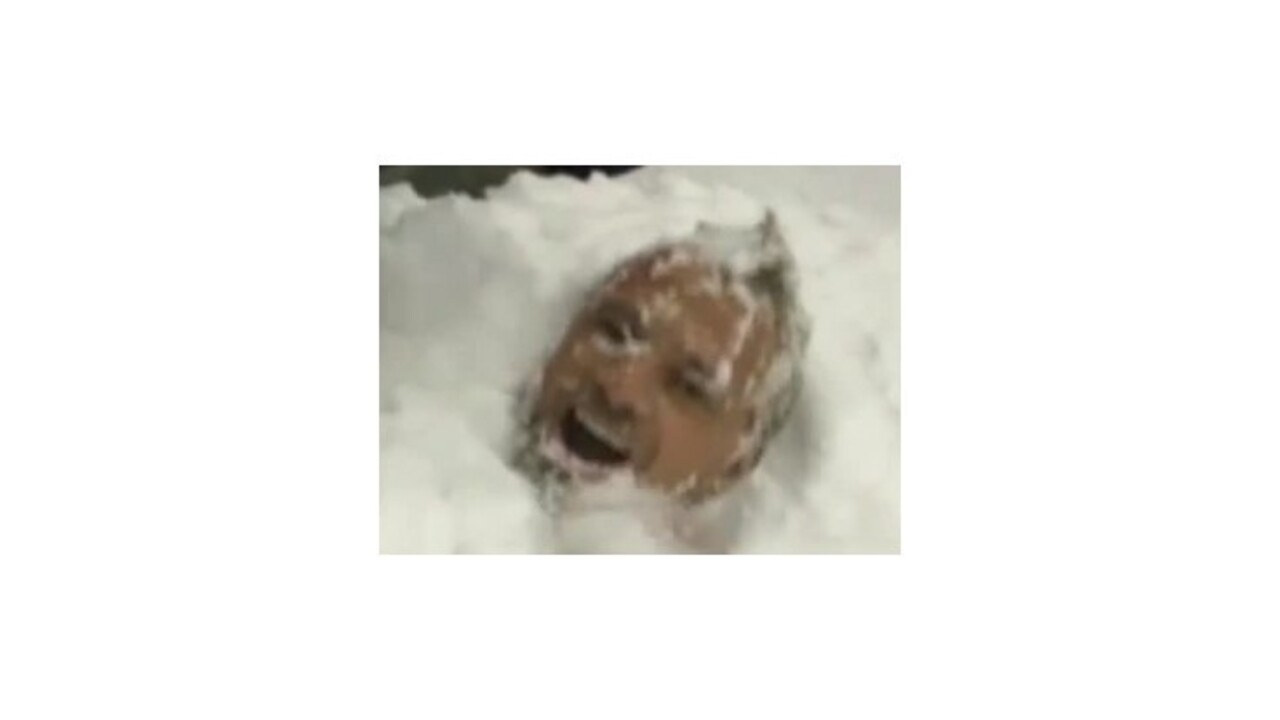 Gáboríka zasypal sneh z rolby