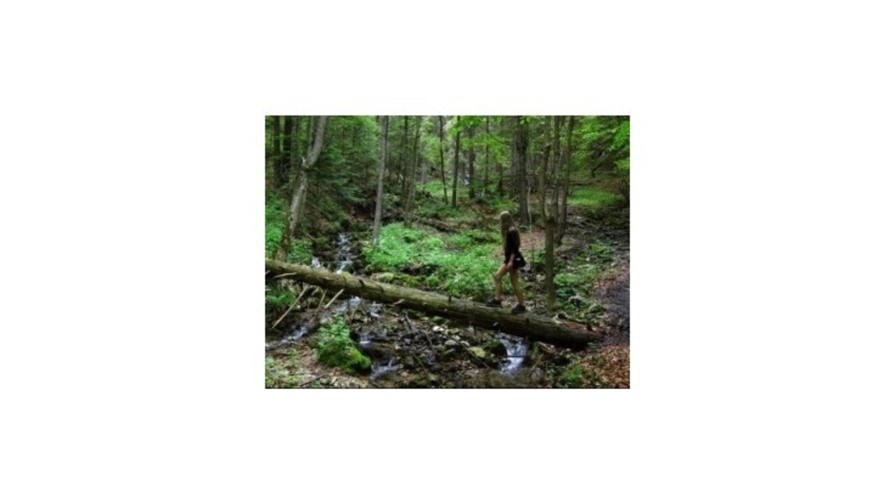 Dobrovoľníci skrášlia studničky v Slovenskom raji