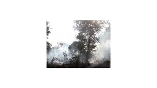 Umelý dážď znížil počet lesných požiarov v Indonézii