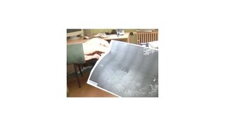 Fotopasce dokázali prítomnosť medveďov v obci Veľké Pole