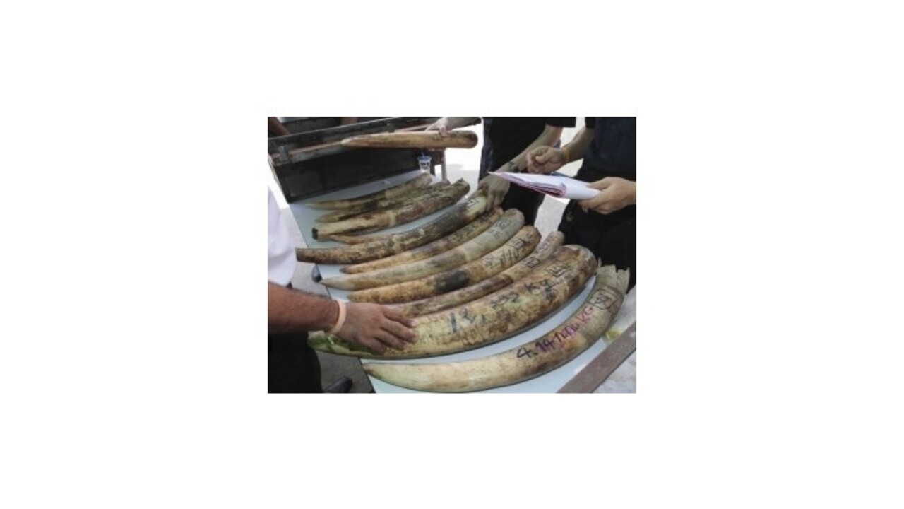 Čínsky prezidentský špeciál využili diplomati na pašovanie slonoviny
