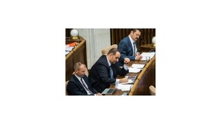 SDKÚ po rokovaní Prezídia: Kaník dostal funkciu, odchod oznámili ďalší ľudia