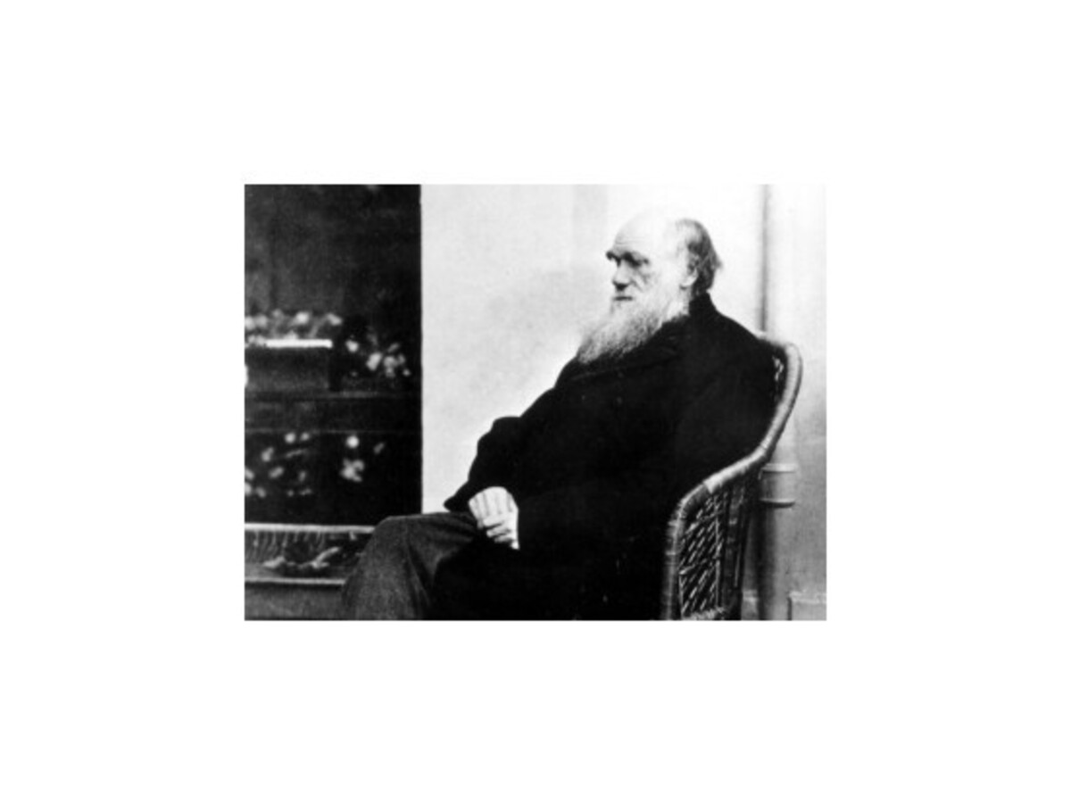 Darwinova kniha o evolúcii zmenila svet, veľká časť ľudí jej stále neverí