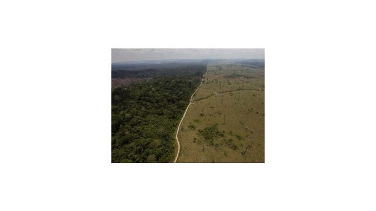 Odlesňovanie amazonského pralesa je druhým najnižším od roku 1988