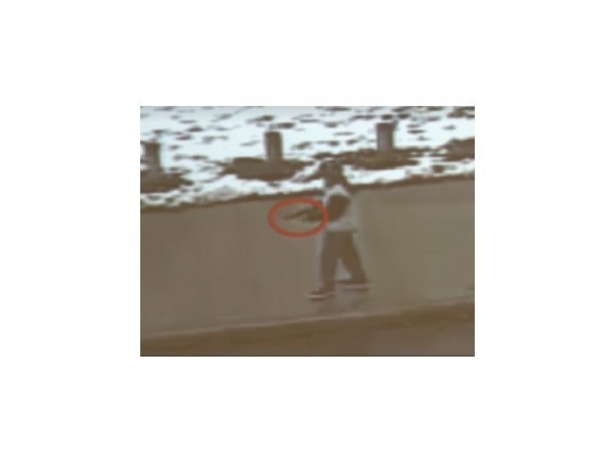 Zverejnili video, na ktorom polícia zastrelila chlapca s hračkárskou pištolou