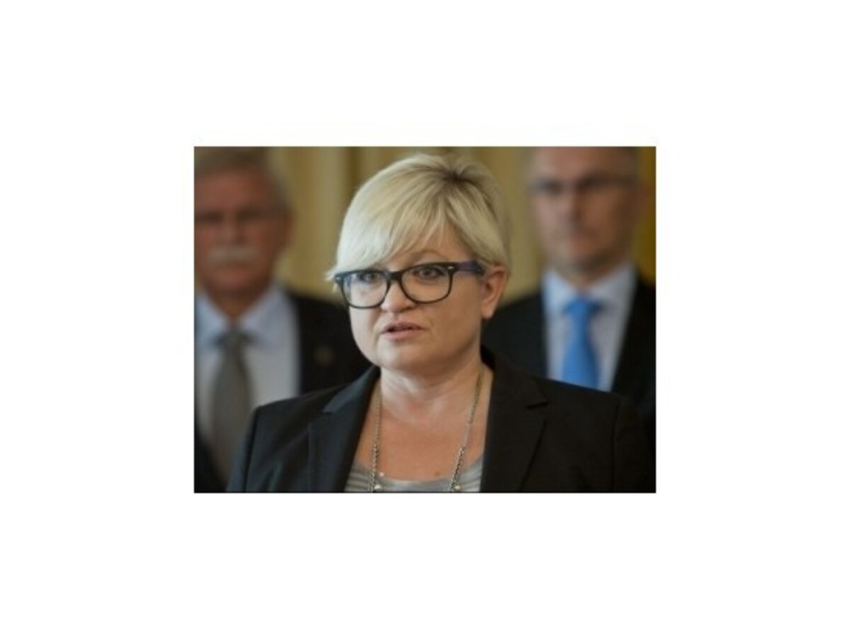 Babitzová zakladá stranu Šanca, po odchode z SDKÚ jej pomôže Novotný