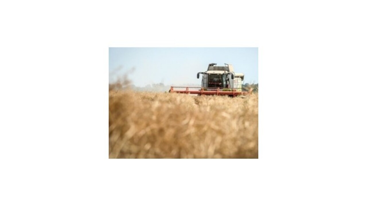 Poľnohospodárov naďalej trápi veľký pokles nákupných cien agrokomodít