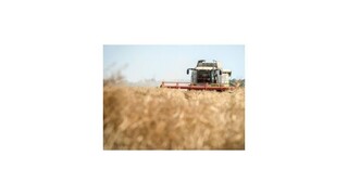 Poľnohospodárov naďalej trápi veľký pokles nákupných cien agrokomodít