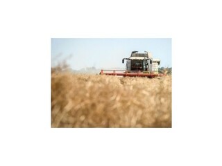 Poľnohospodárov naďalej trápi veľký pokles nákupných cien agrokomodít
