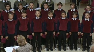 Bravo! Bratislavský chlapčenský zbor