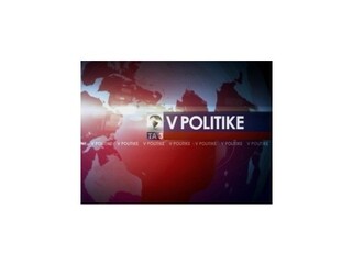 Parlament v roku 2015 / Referendum