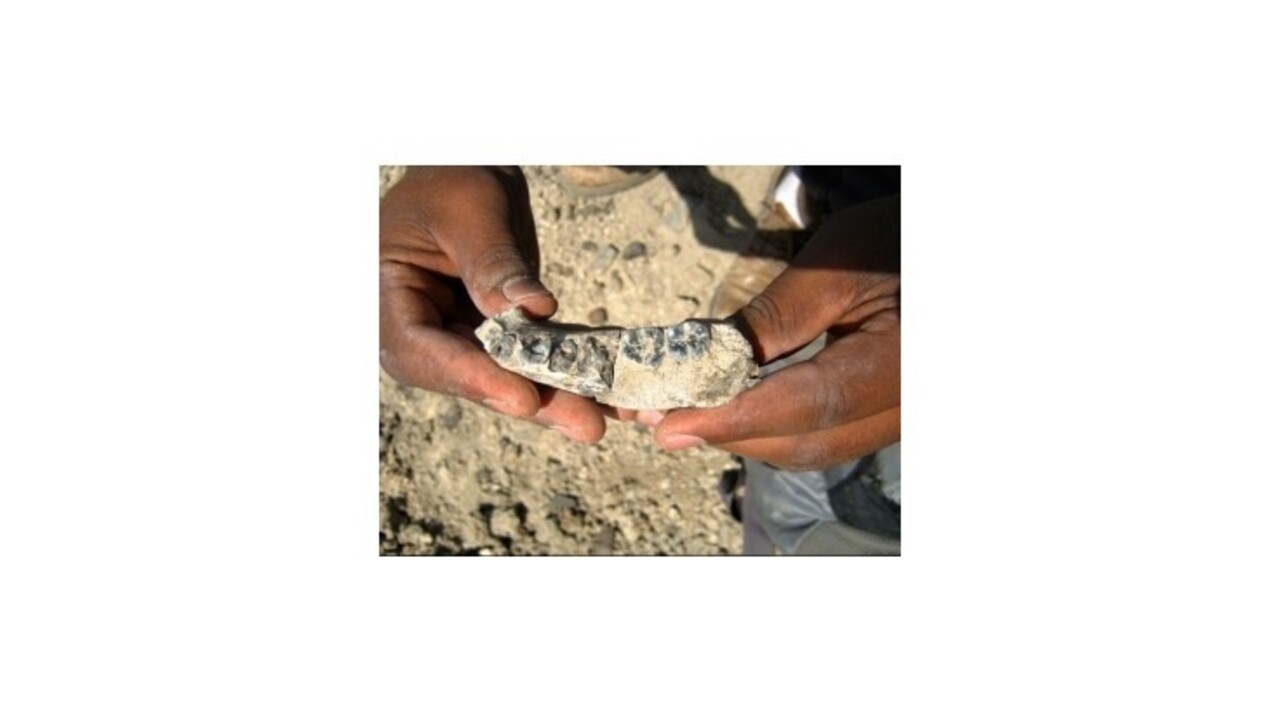 Našli najstaršie pozostatky človeka, história ľudstva sa posúva o státisíce rokov