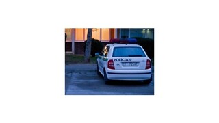 Zlodej chcel v Petržalke utiecť z policajnej stanice, skočil policajtom na auto