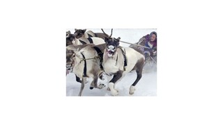 Najzaujímavejšie fotografie týždňa