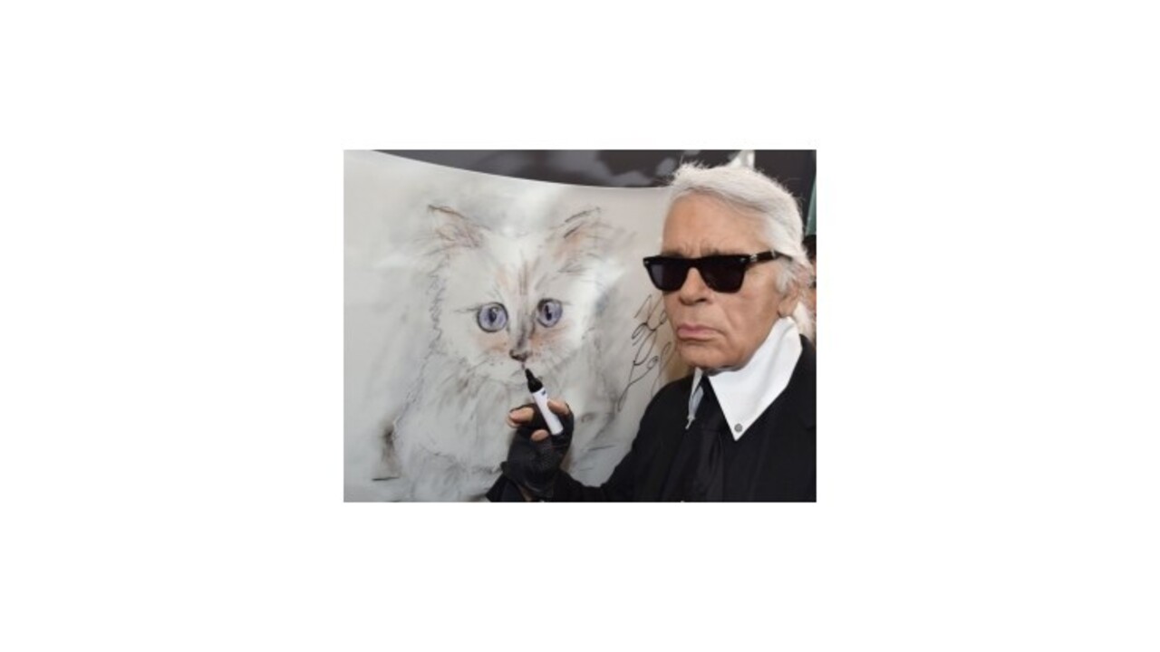 Karl Lagerfeld má úspešnú mačku, jeho miláčik vlani zarobil tri milióny eur