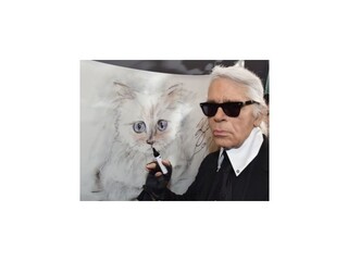 Karl Lagerfeld má úspešnú mačku, jeho miláčik vlani zarobil tri milióny eur