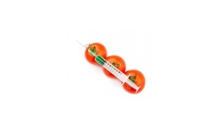 Geneticky upravené potraviny budú naďalej zakázané, potvrdil Jahnátek