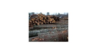 Bardejovská firma dostala niekoľkotisícovú pokutu za spaľovanie dreva