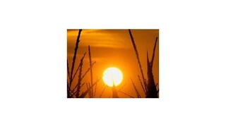 Juh Indie trápia vysoké horúčavy, vyžiadali si už stovky obetí