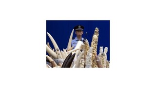 Číňania zničili stovky ton pašovanej slonoviny