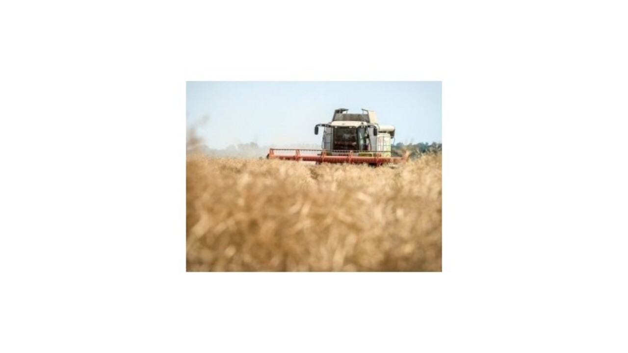 Na Slovensku prudko klesla výmera pôdy na pestovanie energetických plodín