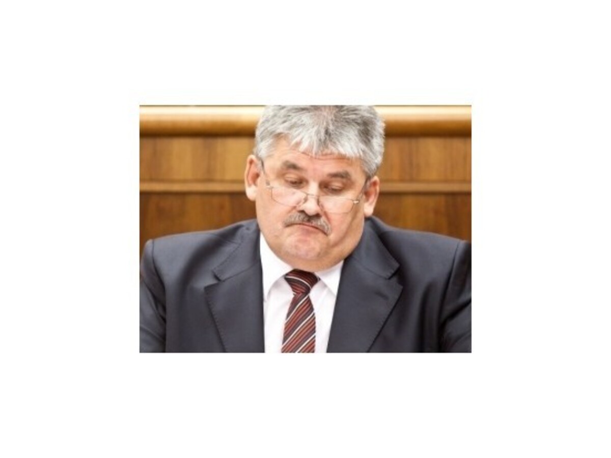 Druhý pilier je správny iba pre určité skupiny, tvrdí Richter