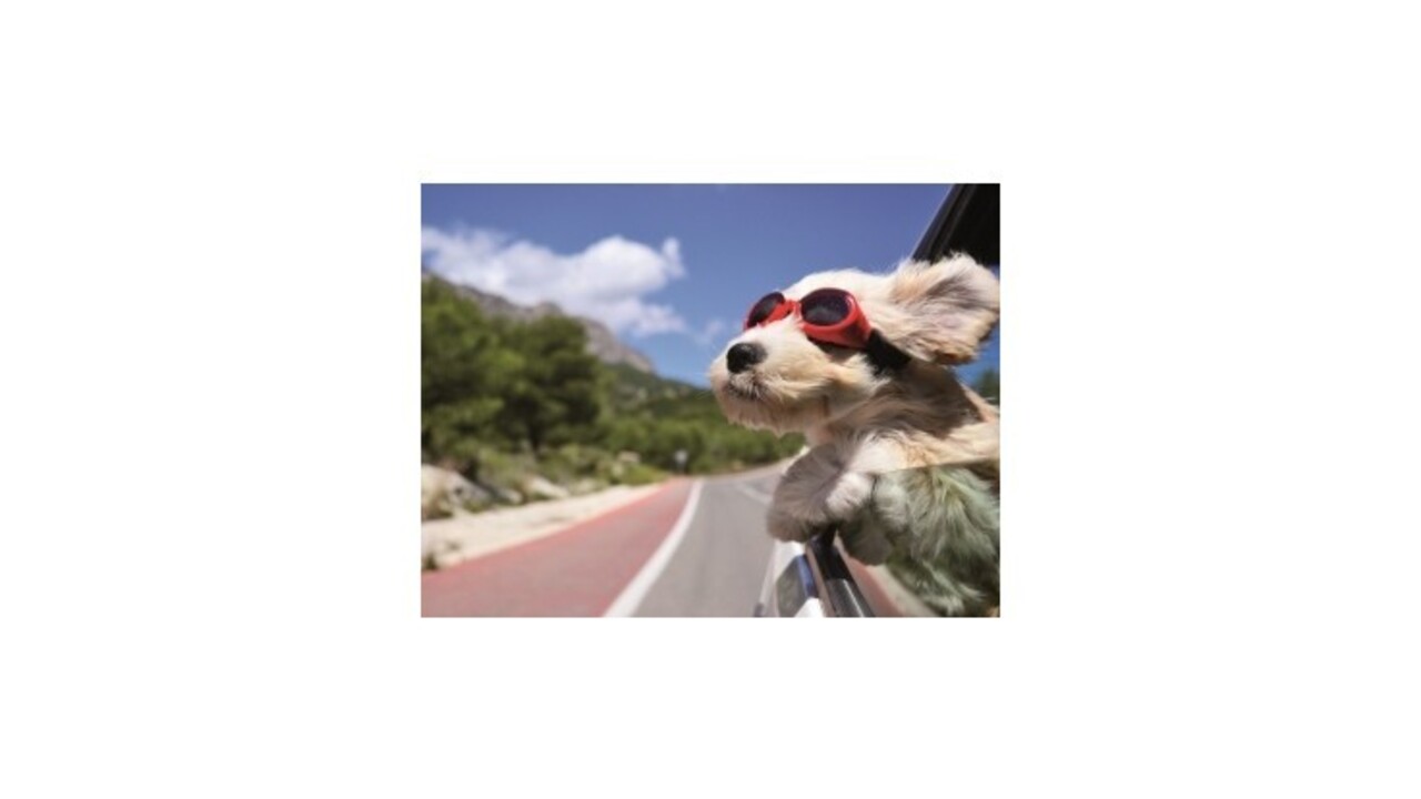 Kto to zaplatí, vy alebo poistka?