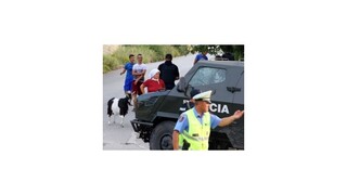 V horách na severe Albánska zastrelili českých turistov