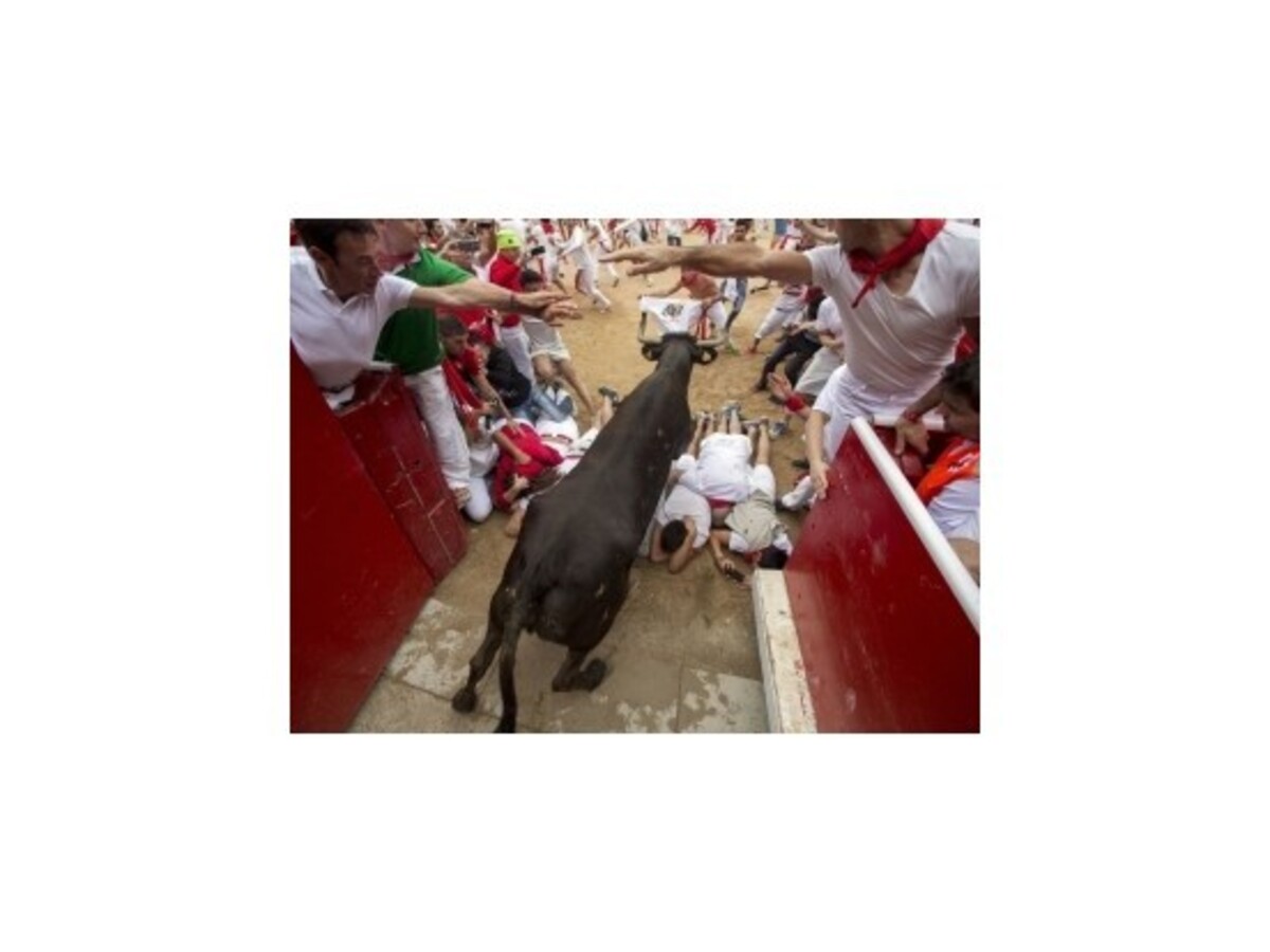 Festival San Fermin sa tradične nezaobišiel bez zranení