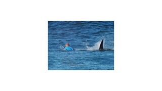 Trojnásobného majstra sveta napadol v priamom prenose veľký žralok