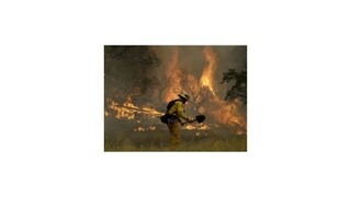 V Kalifornii vyhlásili pre rozsiahle lesné požiare stav núdze