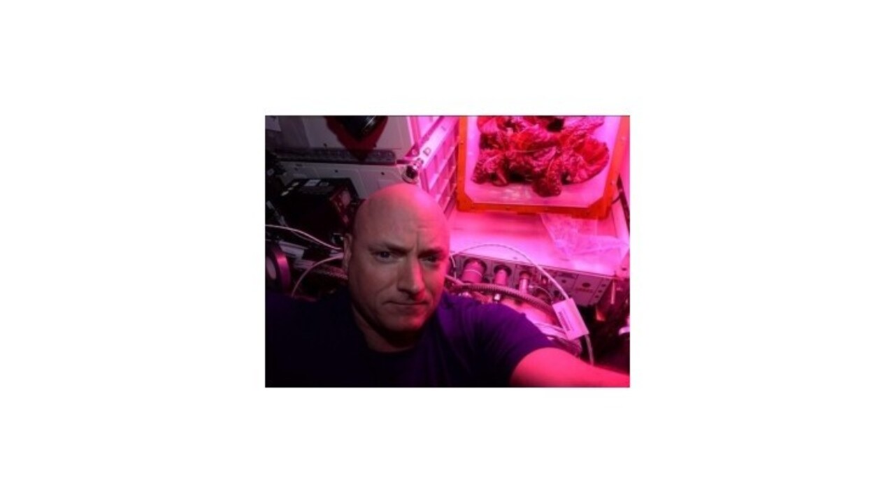 Astronauti na ISS prvý raz ochutnajú zeleninu vypestovanú vo vesmíre