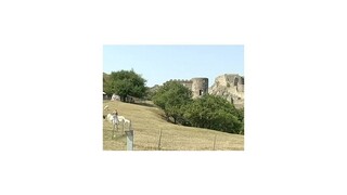 Na hrade Devín stretnete netradičných ekologických prevádzačov