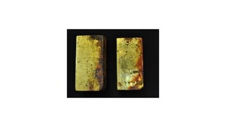 Poľsko v zlatej horúčke, možno sa našiel nacistický vlak s pokladmi