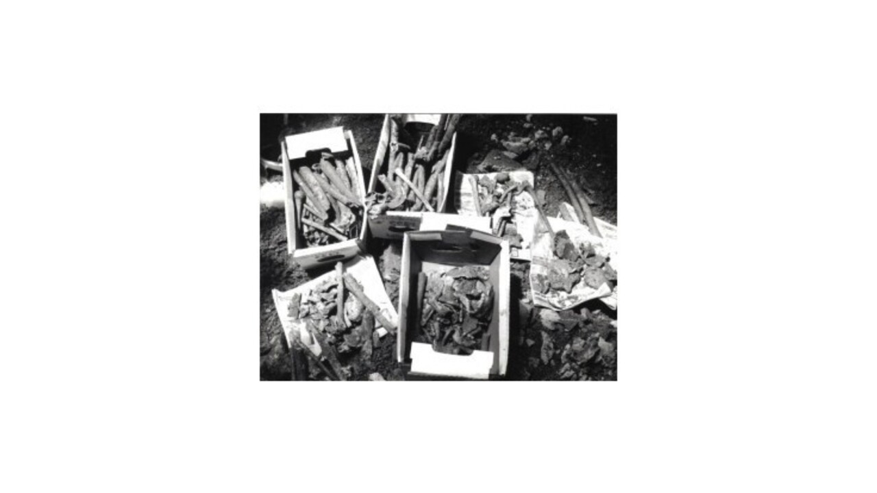 V Kyjeve našli pozostatky stoviek vojakov, ich počet môže ešte rásť