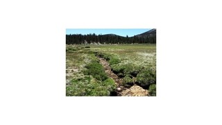 Záchranári našli turistku v Sierra Nevade, 9 dní žila na filtrovanej vode