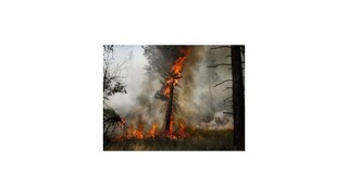 Lesný požiar v Španielsku zničil počas pár hodín obrovské územie